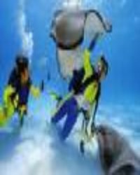 Scuba Diving in Caribbean Sea